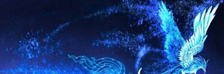 cheonsa banner
