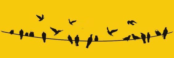 iammjsc's profile banner image