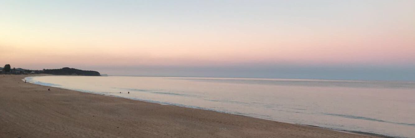 Bianca Howarth banner