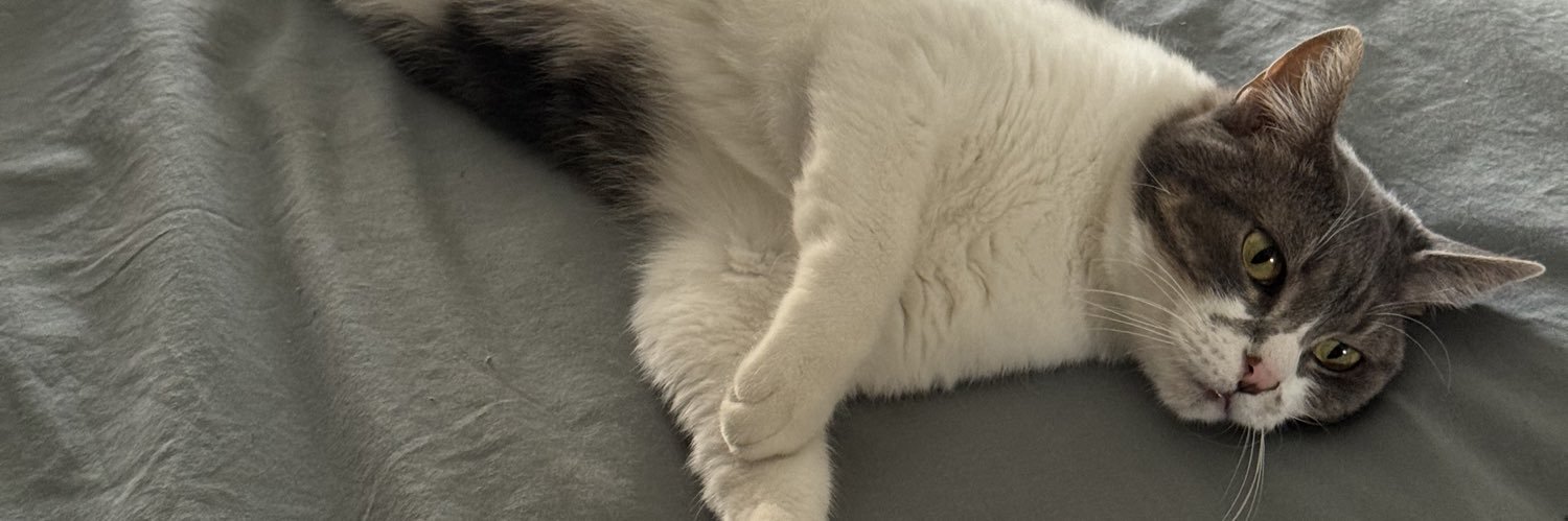 𝑊𝑖𝑐𝑎𝑠𝑠𝑜  banner