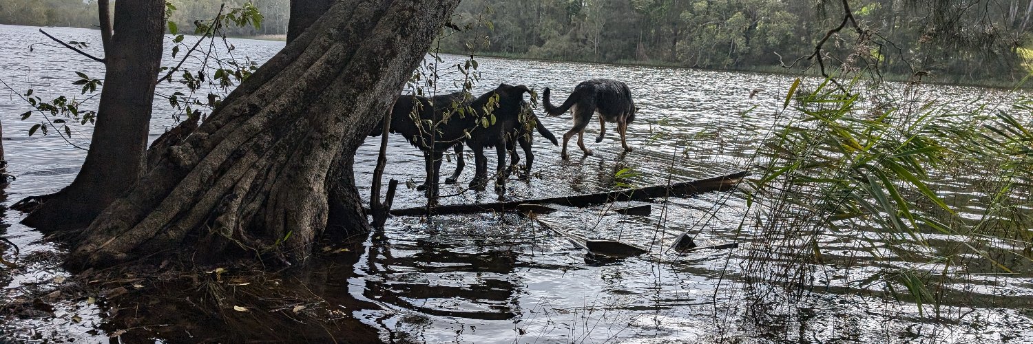 makersmark.btc|5q.btc🤍🦁🧙🏻‍♂️ banner