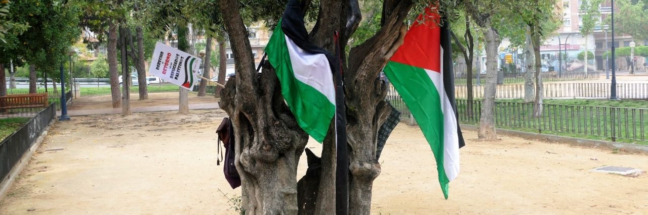 Palestina Libre 🇵🇸 Región de Murcia banner