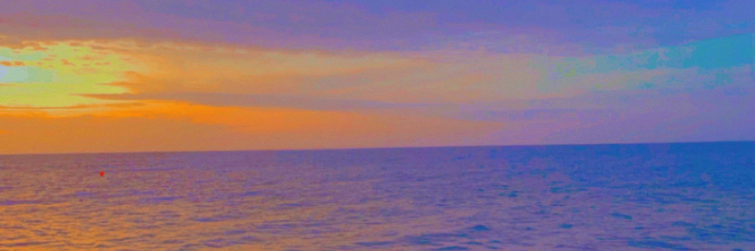 JenniferMirell's profile banner image