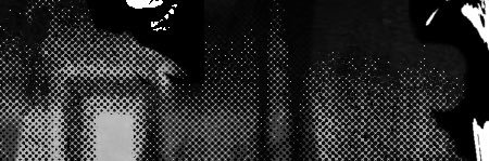 Ping's banner