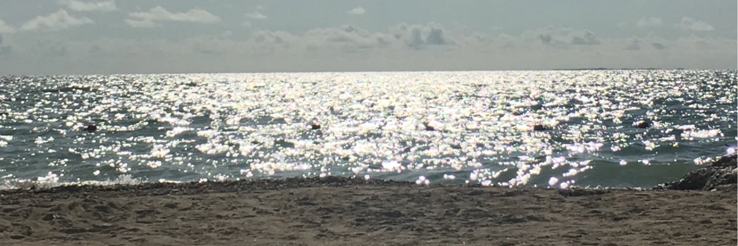 Edwin Bohorquez Aya banner