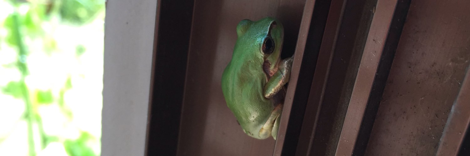 r0uu's profile banner image