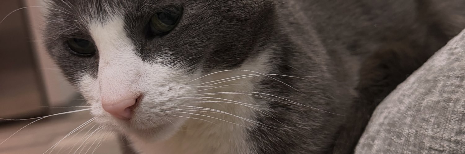 safemanda's profile banner image