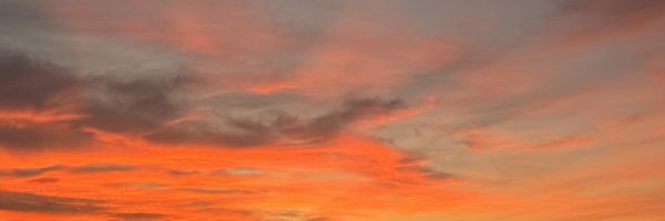 _Cll120 Profile Banner