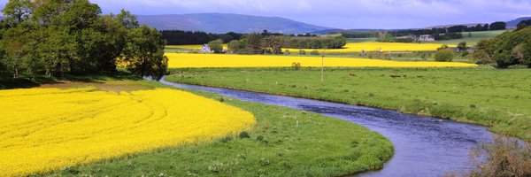 SoilsHutton Profile Banner