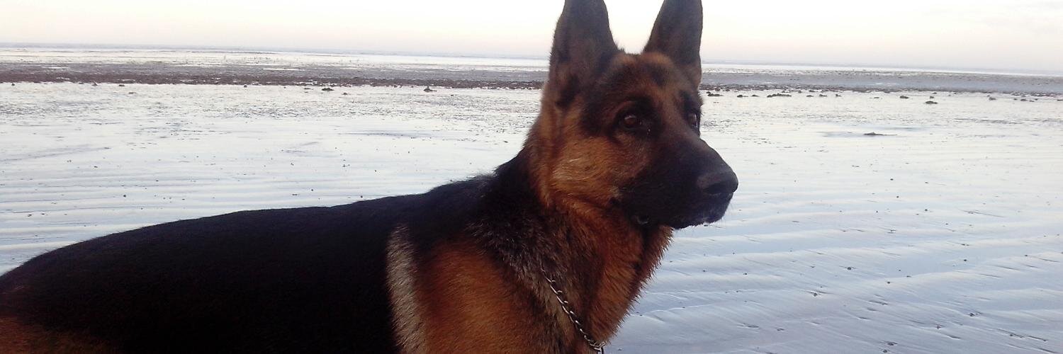 ferchudelgado's profile banner image