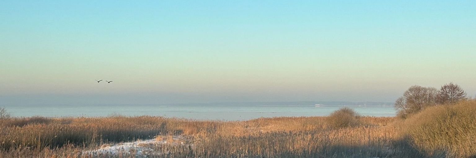 Benjamin Preiss banner