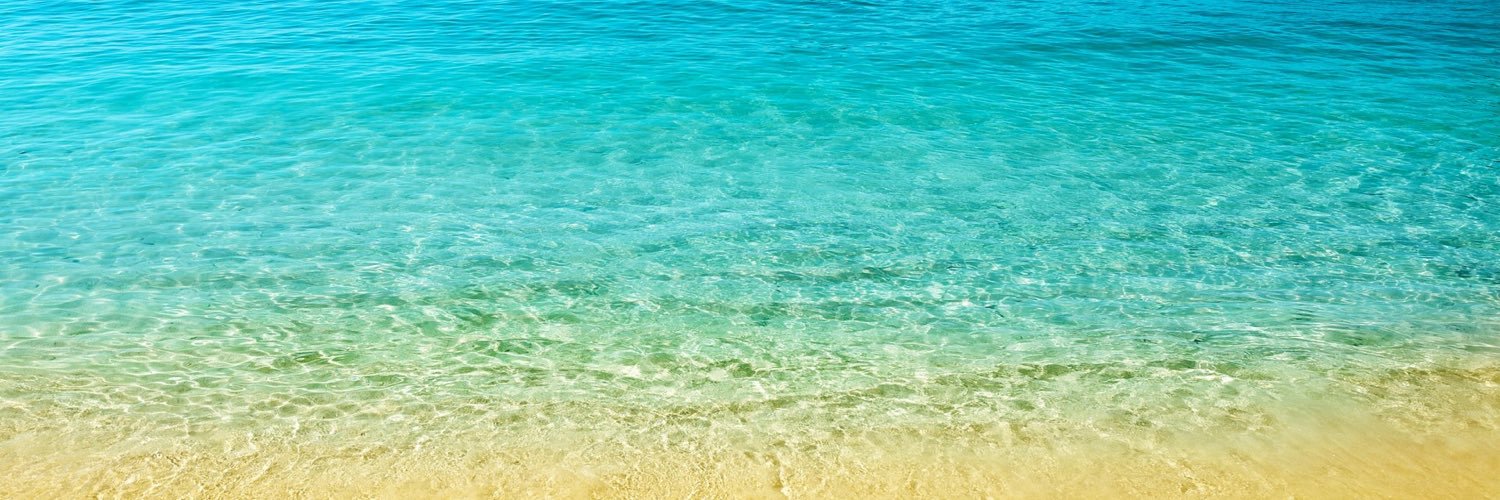 natushcah's profile banner image