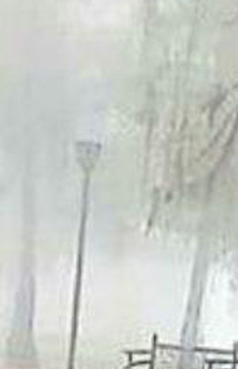 JanitzaVasquez's profile banner image