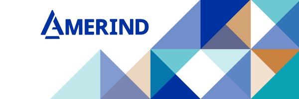 AMERINDRisk Profile Banner