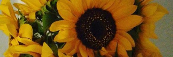 Fraangerly's profile banner image