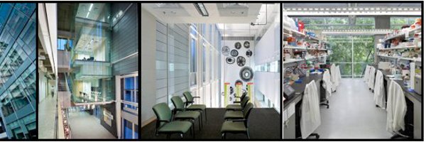 NijnikLab Profile Banner