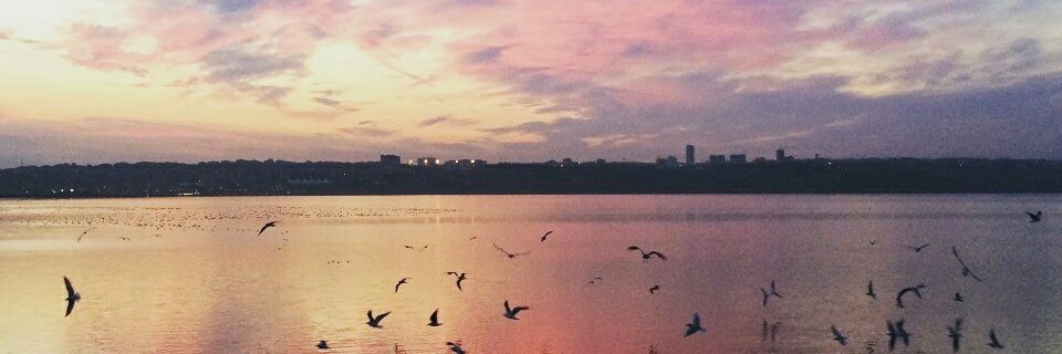 SoaPaty's profile banner image