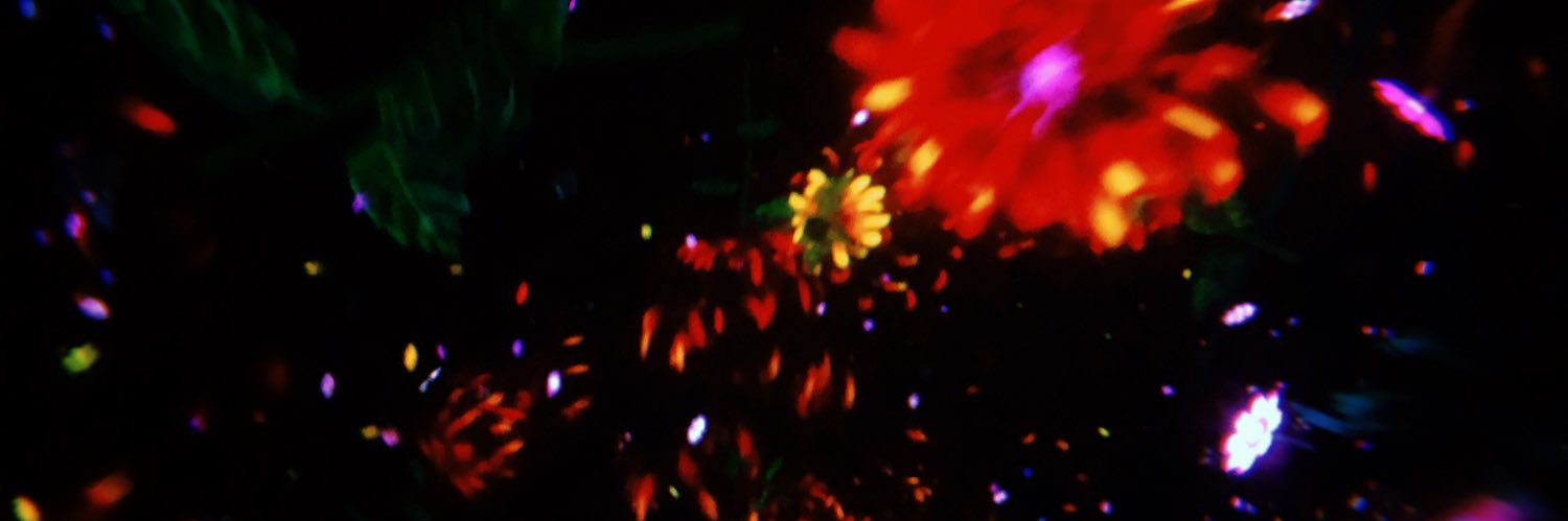 MTaisetu's profile banner image