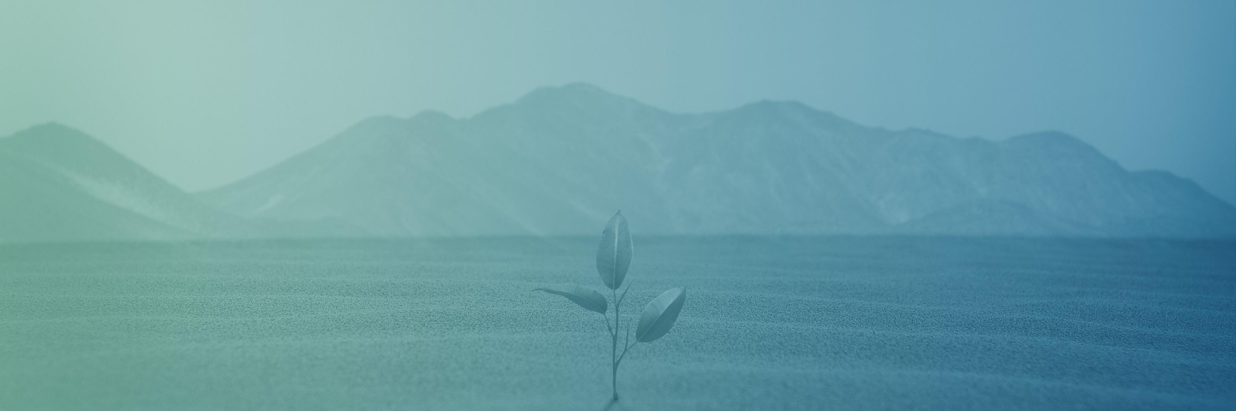 actinuum's profile banner image