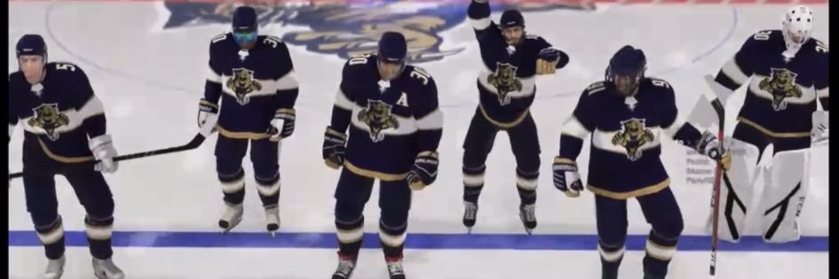 Bluewater Panthers EASHL banner