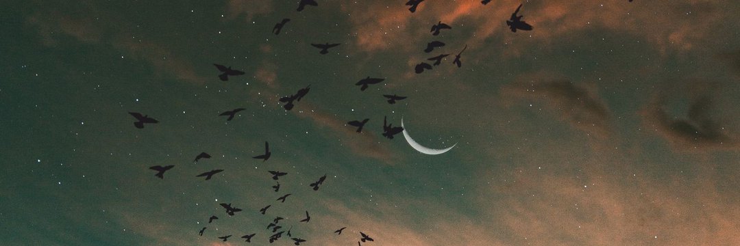 PELİN banner