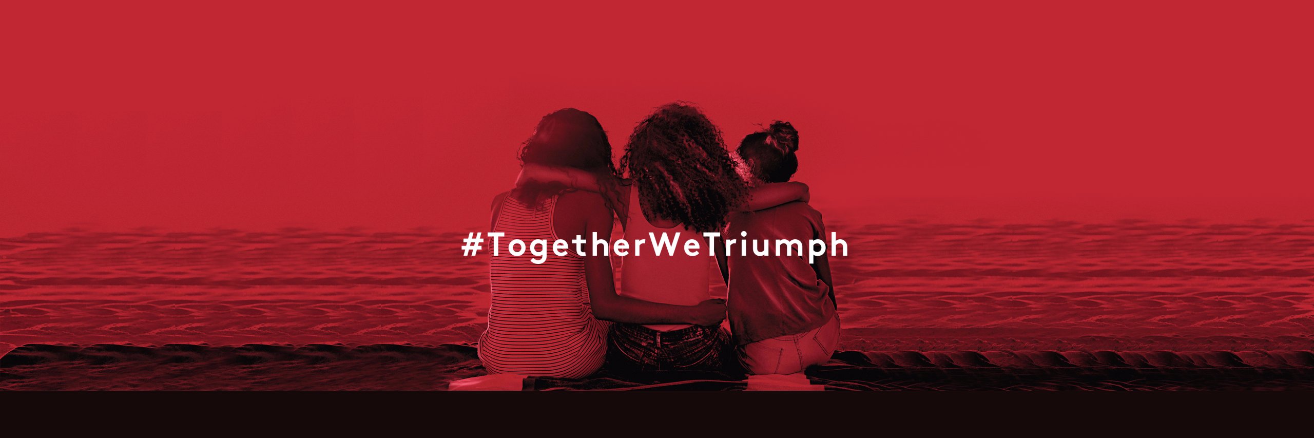 Triumph_Es's profile banner image
