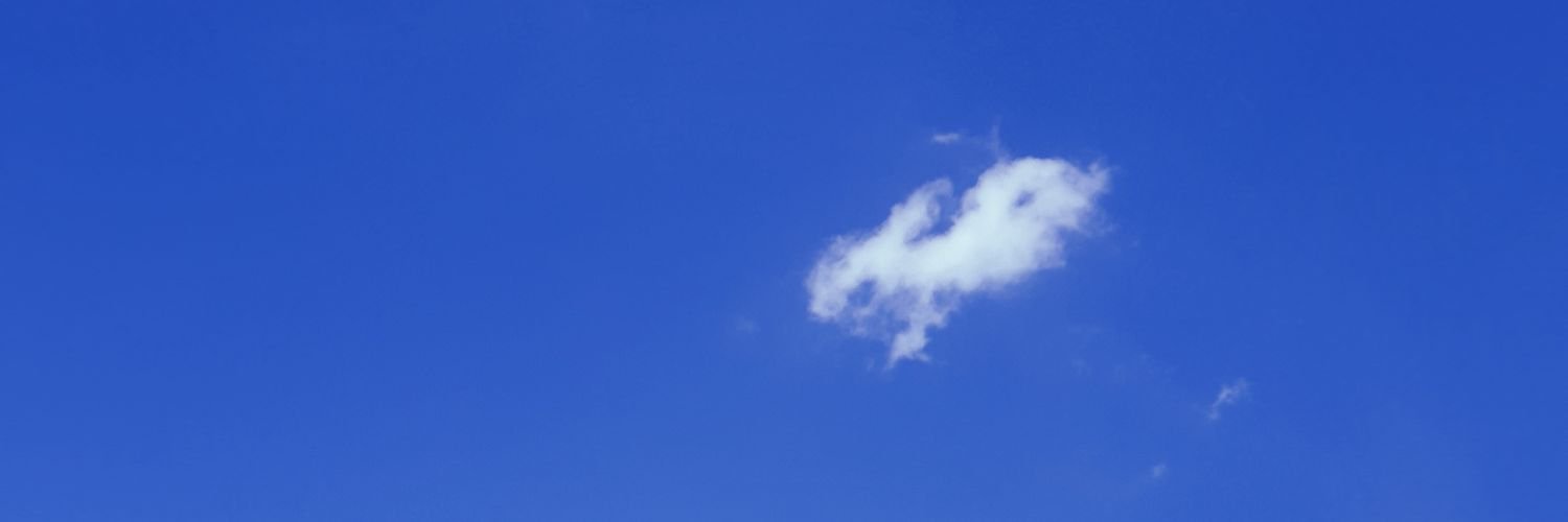 erlinse_'s profile banner image