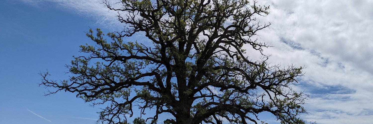 Na-Au-Say What?🇺🇲 banner