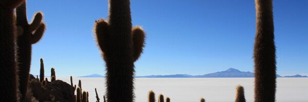 PhibbsKate Profile Banner