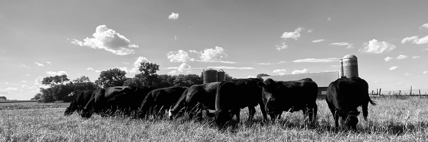 FarmRx_Hannah Ammann banner