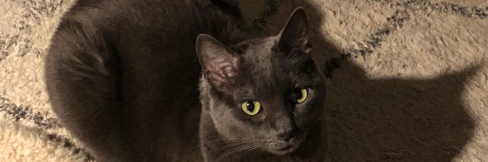 lucian1995's profile banner image