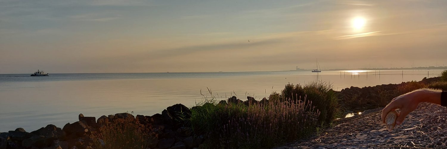 halbstarkinho's profile banner image