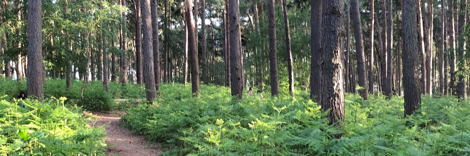 Sara de Sousa banner