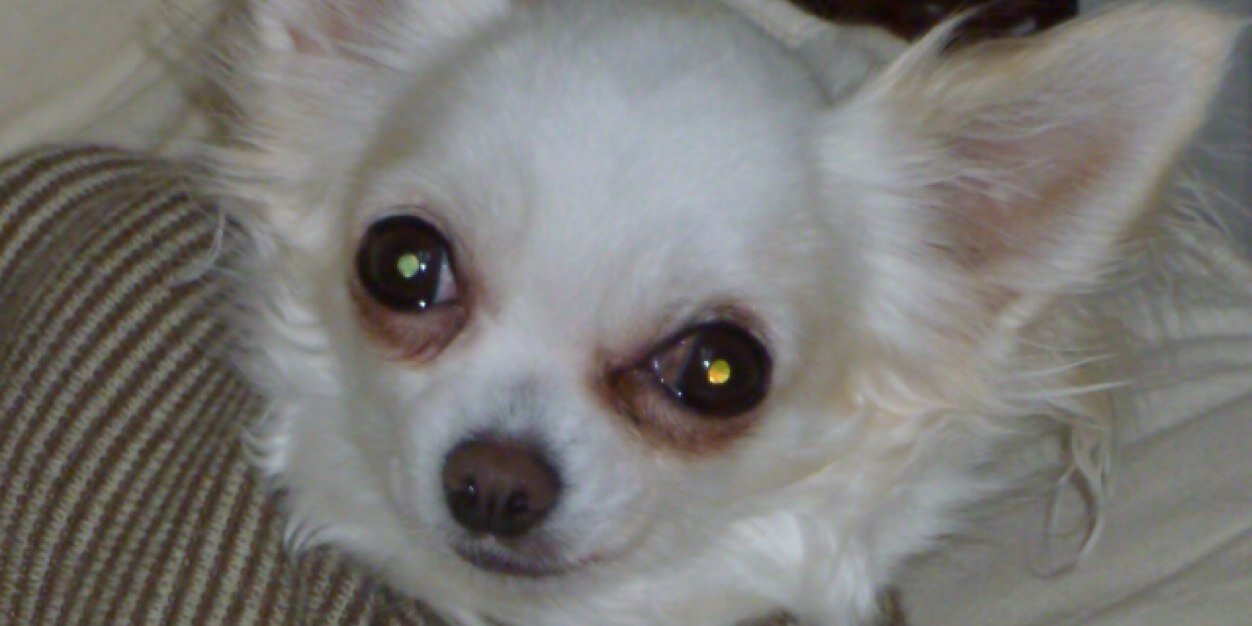 2447shin's profile banner image