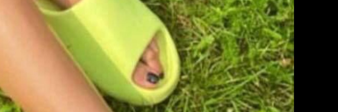 pies pod buty banner