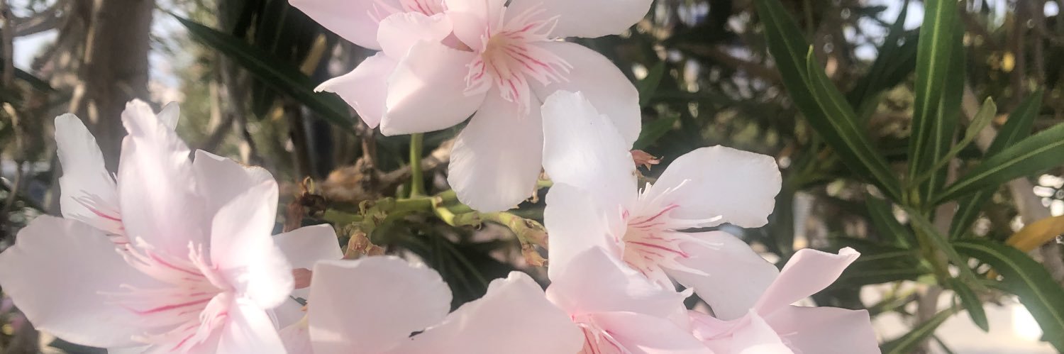 JasdelaRM's profile banner image