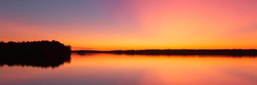 Kataly Foundation banner