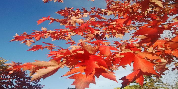 Kevin Churchill banner