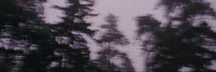 ~ ᴅᴀʀᴋʜɪᴍᴇ ~ banner