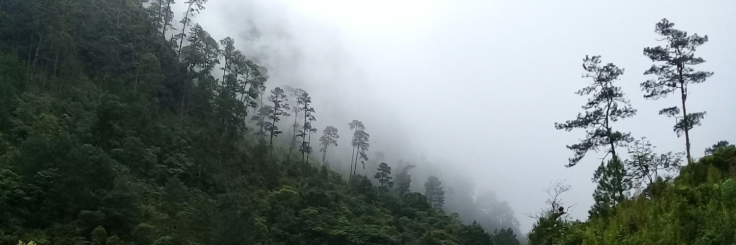 wichavarria's profile banner image