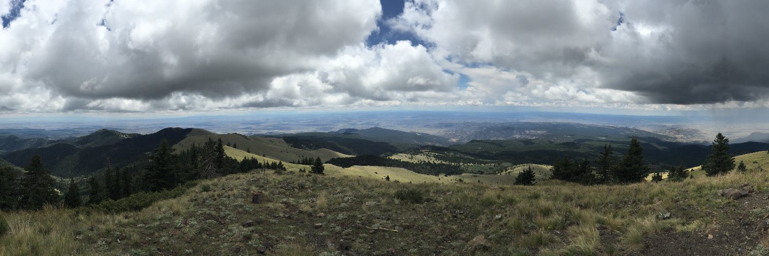 Duncan Caldwell banner