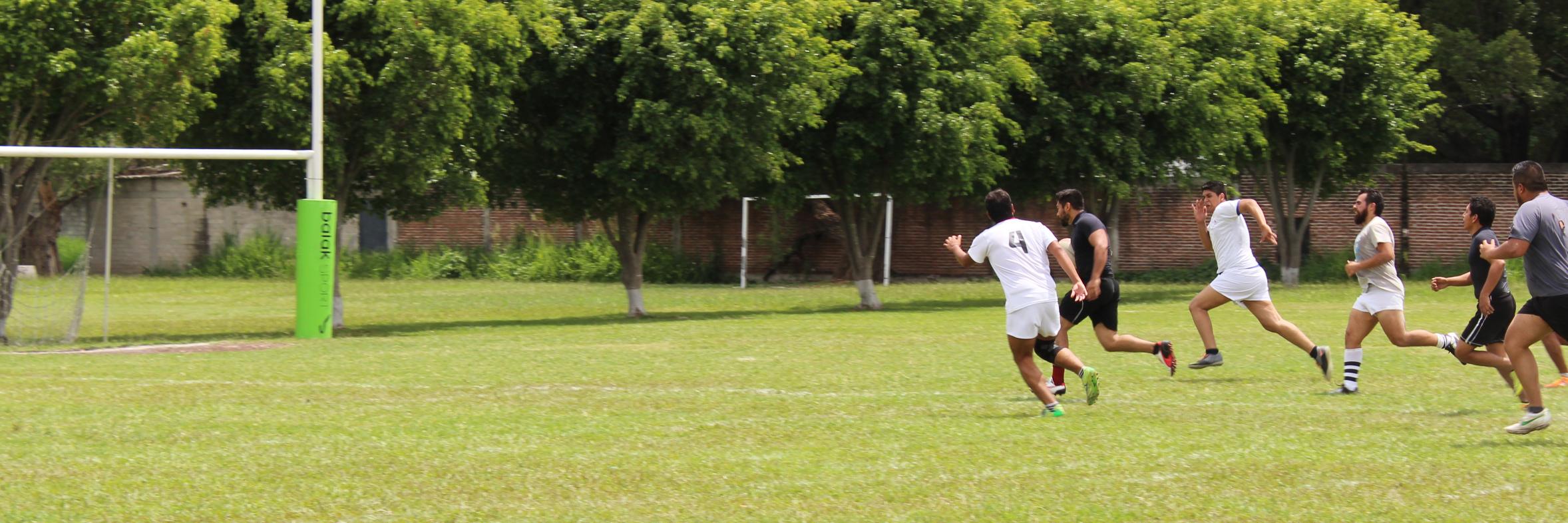 Fesalh's profile banner image