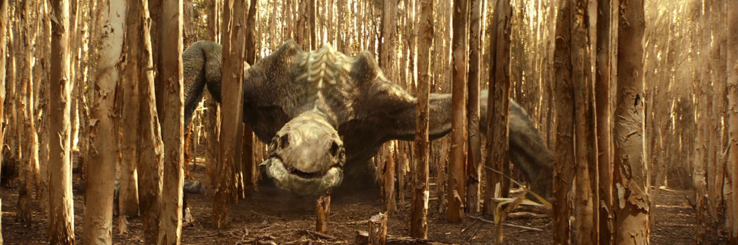 ‍ ‍ ‍ ‍ ‍ ‍ ☠️ 𝕊𝕜𝕦𝕝𝕝𝕪 💀 banner