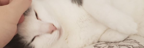 SleepySteve11 Profile Banner