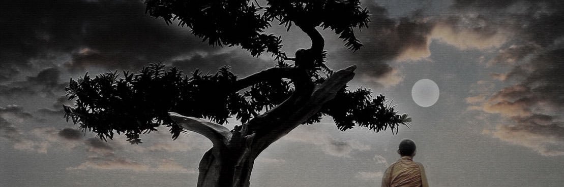 Sun_Kim46's profile banner image