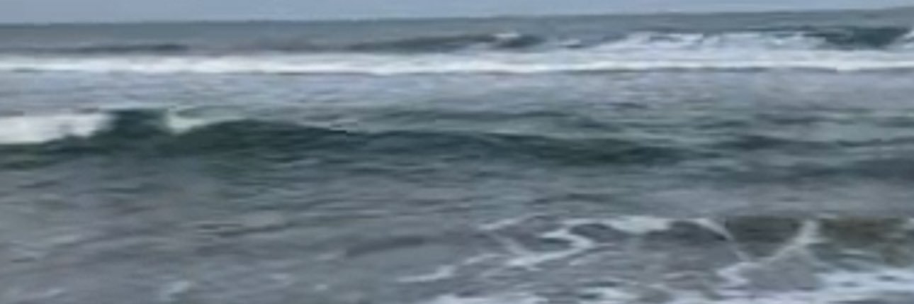 Lamaria Estridge c/o 2024 banner