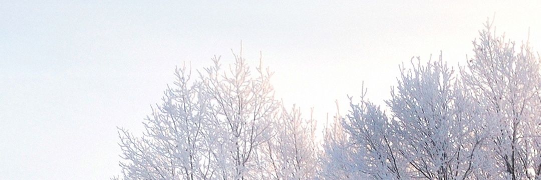 เคยู banner