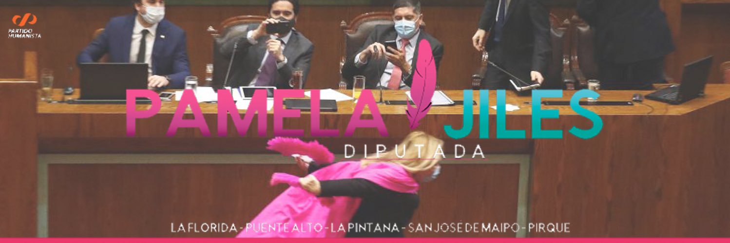 #PamelaJilesDiputada banner