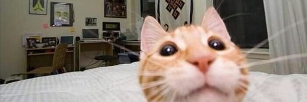 cham2210 Profile Banner