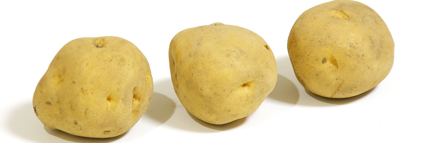 はるゆきこ banner